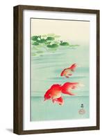 Two Goldfish-Koson Ohara-Framed Giclee Print