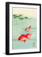 Two Goldfish-Koson Ohara-Framed Giclee Print