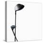 Two Golf Clubs-null-Stretched Canvas