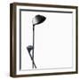 Two Golf Clubs-null-Framed Photographic Print