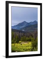 Two Grazing Moose on the Upper Colorado River in Rocky Mountain National Park, Colorado-Matt Jones-Framed Photographic Print