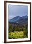 Two Grazing Moose on the Upper Colorado River in Rocky Mountain National Park, Colorado-Matt Jones-Framed Photographic Print