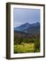 Two Grazing Moose on the Upper Colorado River in Rocky Mountain National Park, Colorado-Matt Jones-Framed Photographic Print