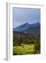 Two Grazing Moose on the Upper Colorado River in Rocky Mountain National Park, Colorado-Matt Jones-Framed Photographic Print