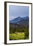 Two Grazing Moose on the Upper Colorado River in Rocky Mountain National Park, Colorado-Matt Jones-Framed Photographic Print