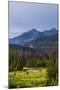 Two Grazing Moose on the Upper Colorado River in Rocky Mountain National Park, Colorado-Matt Jones-Mounted Photographic Print