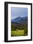 Two Grazing Moose on the Upper Colorado River in Rocky Mountain National Park, Colorado-Matt Jones-Framed Photographic Print