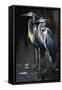 Two Great Blue Herons I-Vivienne Dupont-Framed Stretched Canvas