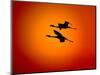 Two Greater Flamingos Flying Across Sunset Sky, Namibia-Tony Heald-Mounted Premium Photographic Print