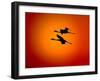 Two Greater Flamingos Flying Across Sunset Sky, Namibia-Tony Heald-Framed Photographic Print