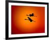 Two Greater Flamingos Flying Across Sunset Sky, Namibia-Tony Heald-Framed Photographic Print