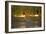 Two Greater Flamingos (Phoenicopterus Roseus) Taking Off from Lagoon, Camargue, France, May 2009-Allofs-Framed Photographic Print