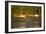 Two Greater Flamingos (Phoenicopterus Roseus) Taking Off from Lagoon, Camargue, France, May 2009-Allofs-Framed Photographic Print