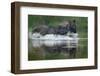 two greater one-horned rhinoceros splashing in river, nepal-karine aigner-Framed Photographic Print