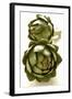 Two Green Artichokes-Alain Caste-Framed Photographic Print