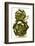 Two Green Artichokes-Alain Caste-Framed Photographic Print