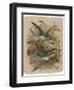 Two Green Birds Nest Building-null-Framed Photographic Print