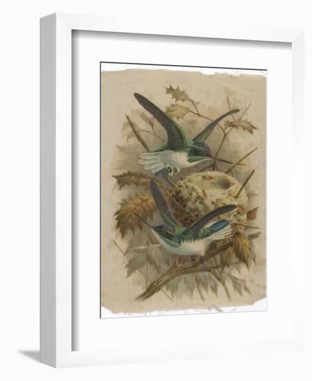 Two Green Birds Nest Building-null-Framed Photographic Print