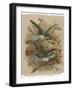 Two Green Birds Nest Building-null-Framed Photographic Print