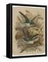 Two Green Birds Nest Building-null-Framed Stretched Canvas