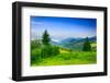 Two Green Pine Tree on Meadow in the Mountains Early Morning-pellinni-Framed Photographic Print