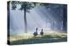 Two Grey Geese Run Though the Early Morning Mists of Ibirapuera Park-Alex Saberi-Stretched Canvas