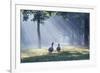 Two Grey Geese Run Though the Early Morning Mists of Ibirapuera Park-Alex Saberi-Framed Photographic Print