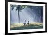 Two Grey Geese Run Though the Early Morning Mists of Ibirapuera Park-Alex Saberi-Framed Photographic Print