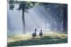 Two Grey Geese Run Though the Early Morning Mists of Ibirapuera Park-Alex Saberi-Mounted Photographic Print