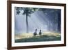 Two Grey Geese Run Though the Early Morning Mists of Ibirapuera Park-Alex Saberi-Framed Photographic Print