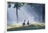 Two Grey Geese Run Though the Early Morning Mists of Ibirapuera Park-Alex Saberi-Framed Photographic Print