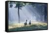 Two Grey Geese Run Though the Early Morning Mists of Ibirapuera Park-Alex Saberi-Framed Stretched Canvas