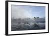 Two Grey Herons (Ardea Cinerea) on Ice, Squabbling over Fish, River Tame, Stockport, UK-Terry Whittaker-Framed Photographic Print