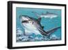 Two Grey Nurse Sharks Swimming Underwater (Carcharias Taurus)-null-Framed Giclee Print