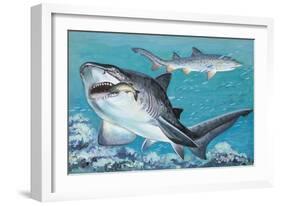 Two Grey Nurse Sharks Swimming Underwater (Carcharias Taurus)-null-Framed Giclee Print