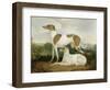 Two Greyhounds in a Landscape-Charles Hancock-Framed Premium Giclee Print