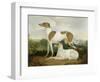 Two Greyhounds in a Landscape-Charles Hancock-Framed Premium Giclee Print