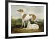 Two Greyhounds in a Landscape-Charles Hancock-Framed Giclee Print