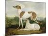 Two Greyhounds in a Landscape-Charles Hancock-Mounted Giclee Print