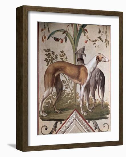 Two Greyhounds-Pietro Rotati-Framed Giclee Print