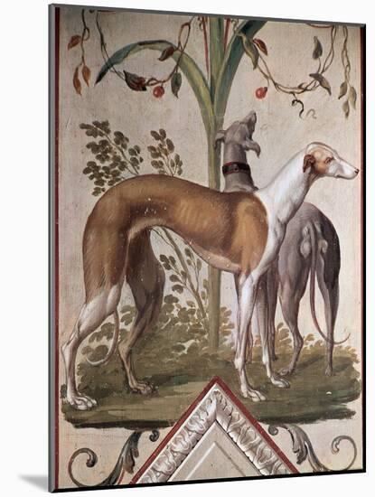 Two Greyhounds-Pietro Rotati-Mounted Giclee Print