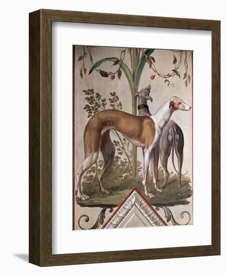 Two Greyhounds-Pietro Rotati-Framed Giclee Print