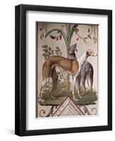 Two Greyhounds-Pietro Rotati-Framed Giclee Print