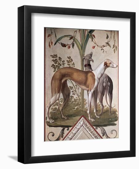 Two Greyhounds-Pietro Rotati-Framed Giclee Print