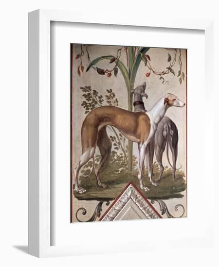 Two Greyhounds-Pietro Rotati-Framed Giclee Print