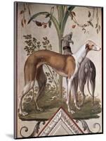 Two Greyhounds-Pietro Rotati-Mounted Giclee Print