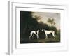 Two Greyhounds-unknown Boultbee-Framed Art Print