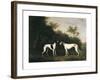 Two Greyhounds-unknown Boultbee-Framed Art Print