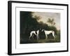 Two Greyhounds-unknown Boultbee-Framed Art Print