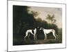 Two Greyhounds-unknown Boultbee-Mounted Art Print